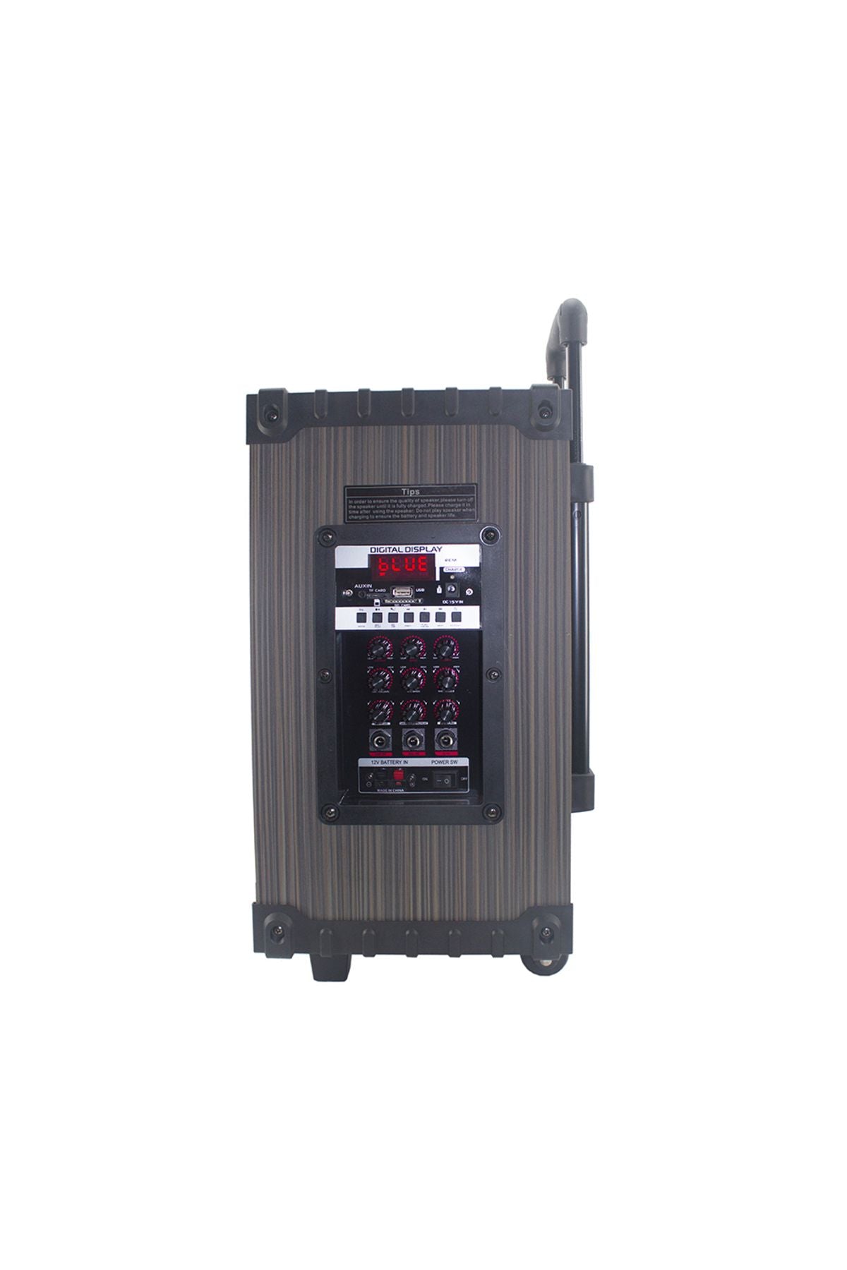 LT-908 Dijital LED Göstergeli FM Radyolu Mikrofonlu TWS 8 inç Stereo Bass Kablosuz Karaoke Hopa