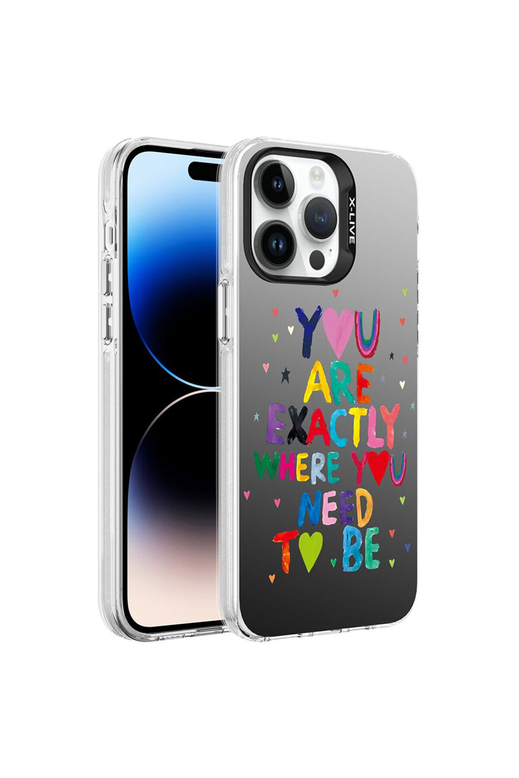 iPhone 14 Pro Uyumlu Desenli Zore Silver Sert Kılıf-You