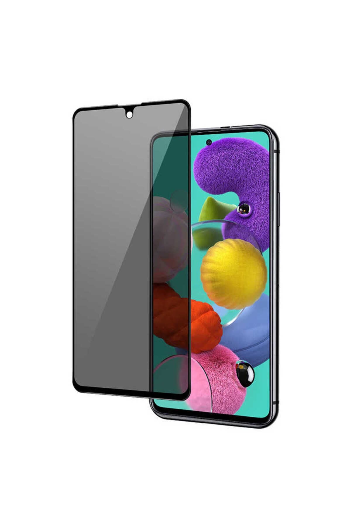 Galaxy S21 Plus Hayalet Zore Ekran Koruyucu Uyumlu Davin Privacy Seramik Zore Ekran Filmi