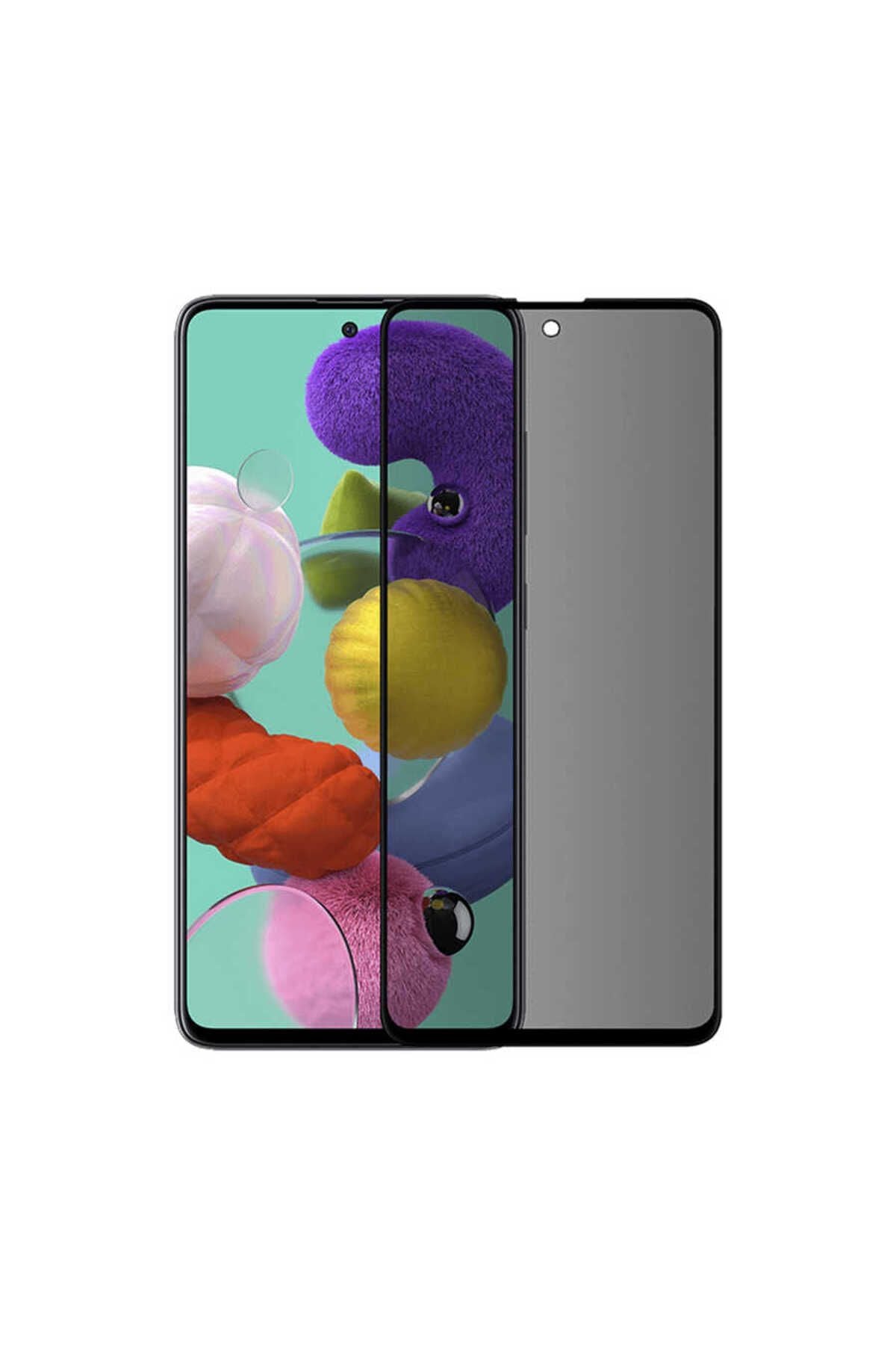 Galaxy S22 Plus Hayalet Zore Ekran Koruyucu Uyumlu Davin Privacy Seramik Zore Ekran Filmi