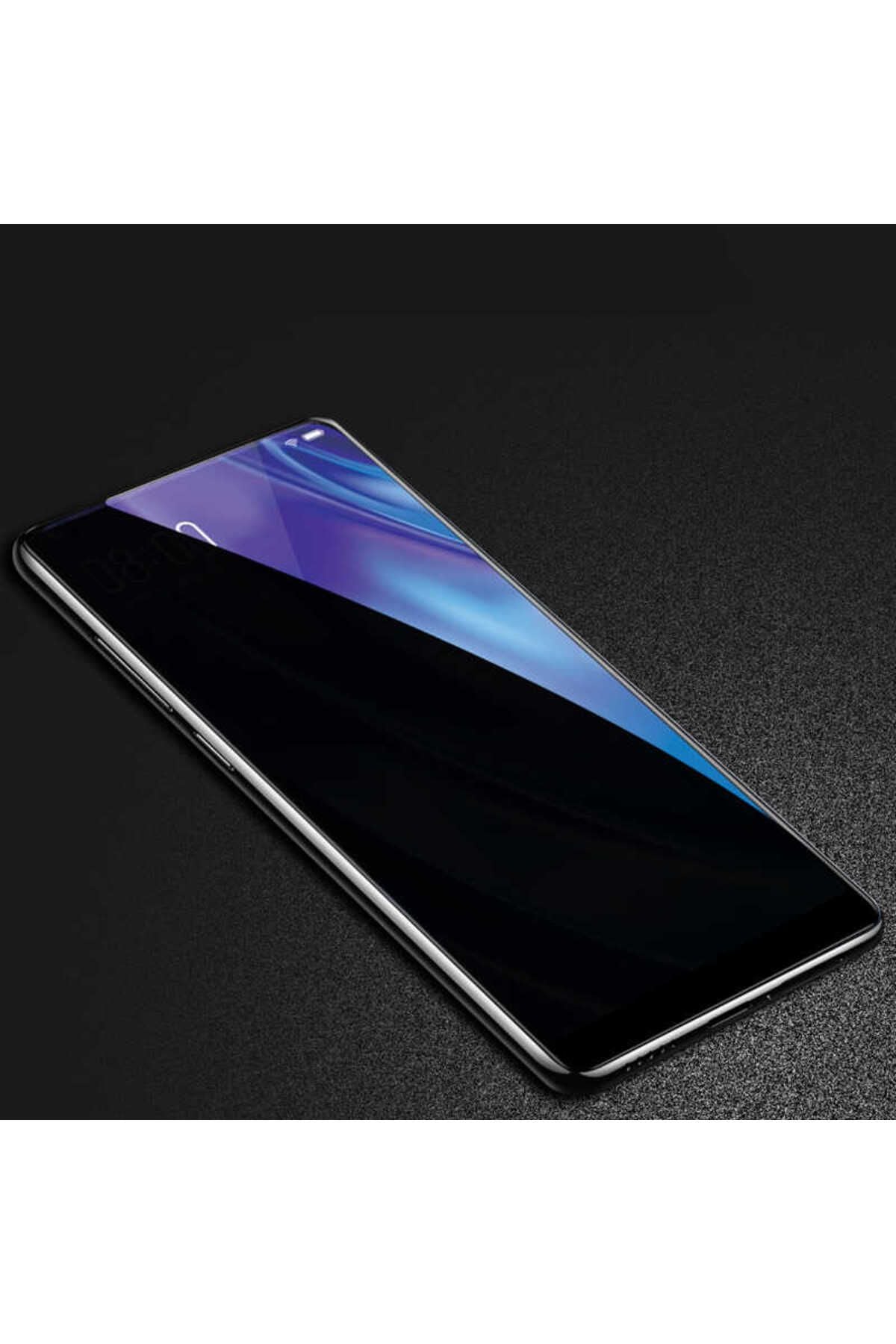 Galaxy S9 Plus Hayalet Zore Ekran Koruyucu Uyumlu Davin Privacy Seramik Zore Ekran Filmi