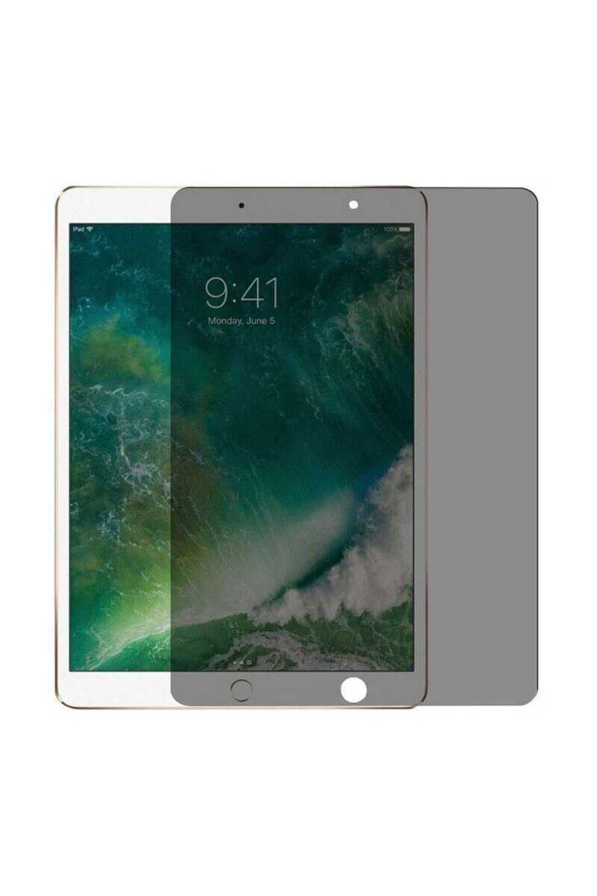 Uyumlu Apple iPad 10.2 2021 (9.Nesil) Tablet Privacy Temperli Cam Ekran Koruyucu