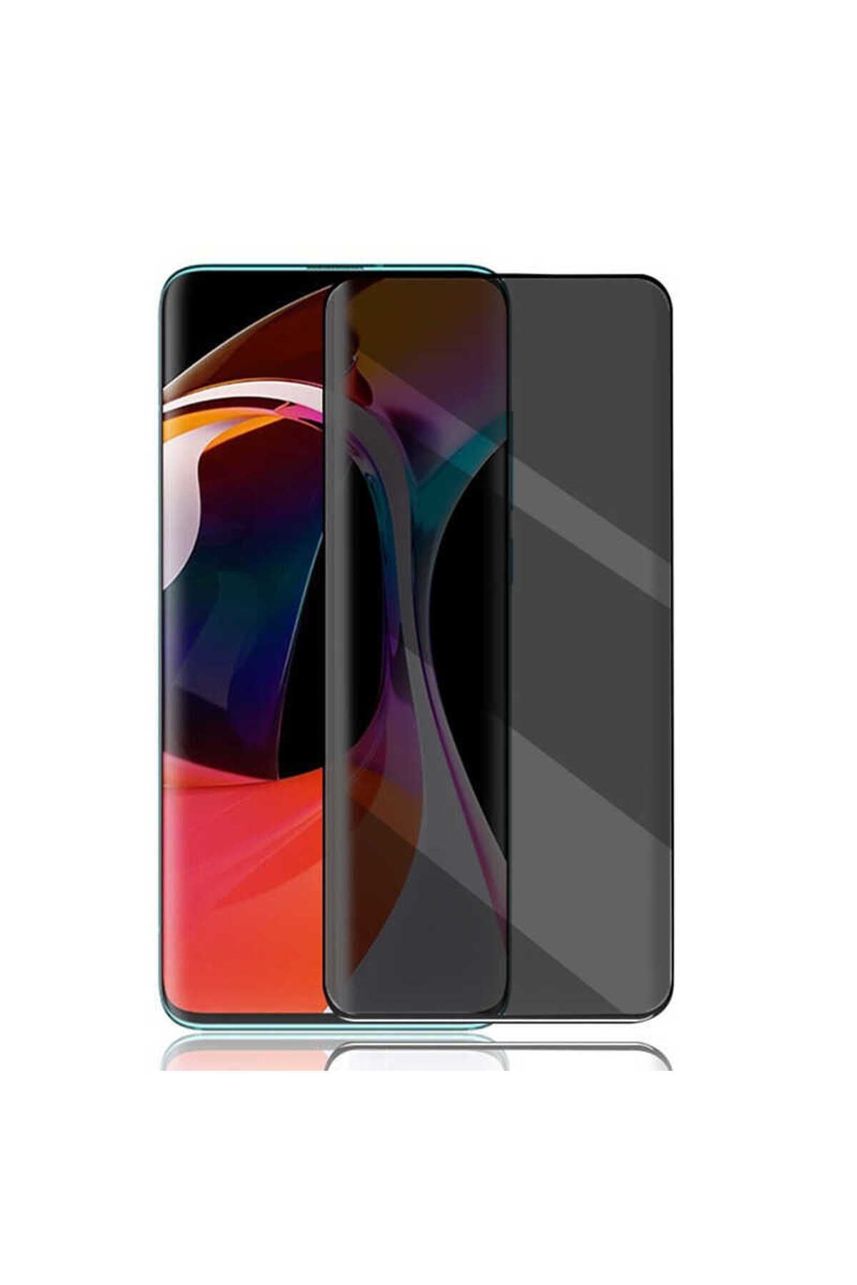 Galaxy S9 Plus Hayalet Zore Ekran Koruyucu Uyumlu Davin Privacy Seramik Zore Ekran Filmi